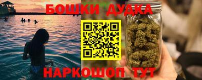 гашик Ливны
