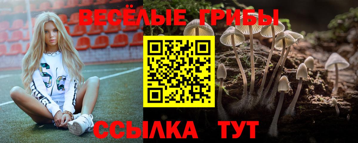 Донской  Псилоцибиновые грибы Psilocybe  Псилоцибиновые грибы Psilocybe  Вход с VPN 